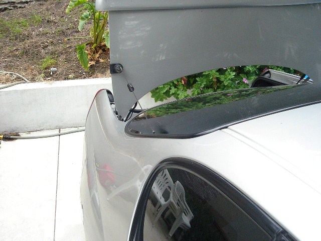 Antenna with trunk open