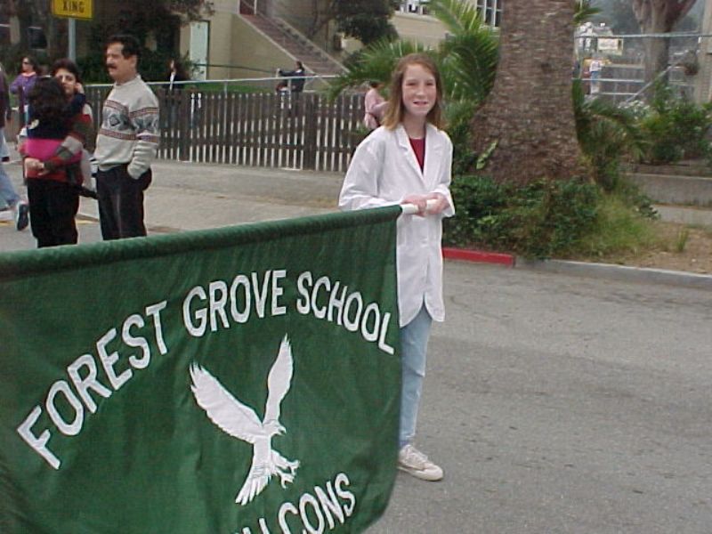 butterflyparade02.jpg