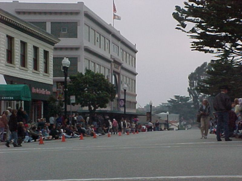 butterflyparade04.jpg