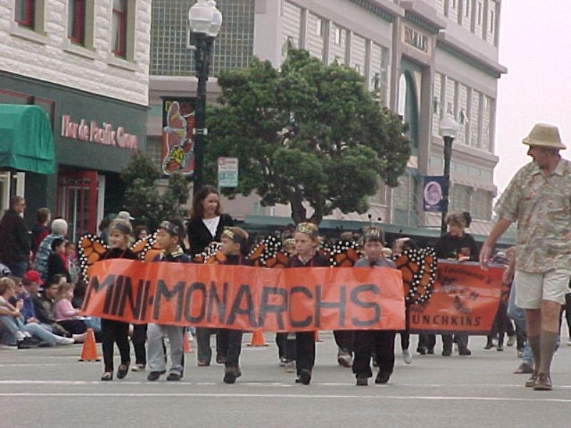butterflyparade09.jpg
