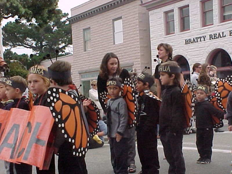 butterflyparade11.jpg