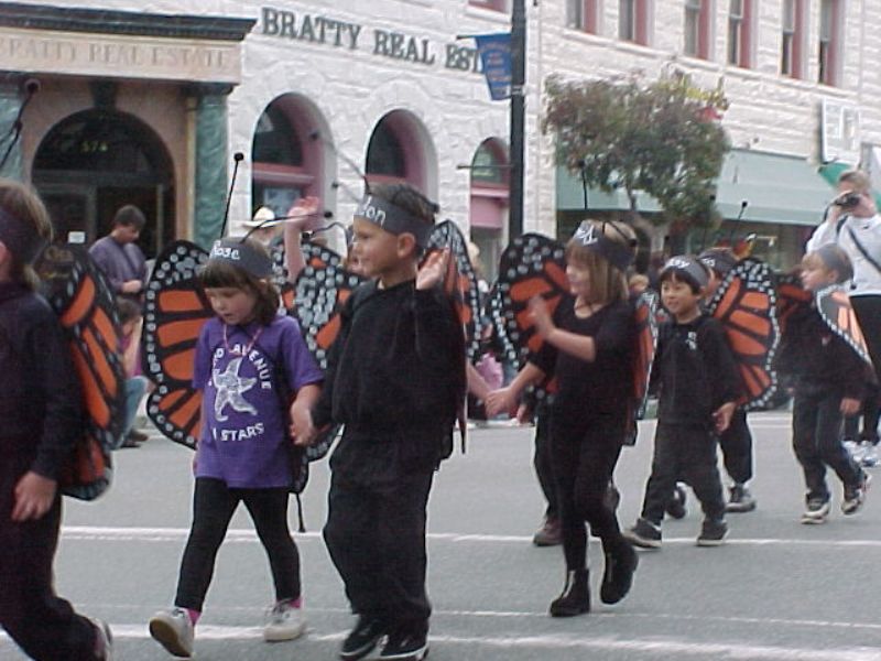butterflyparade12.jpg