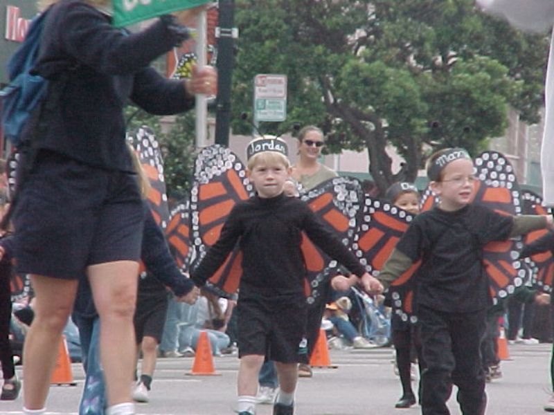 butterflyparade16.jpg