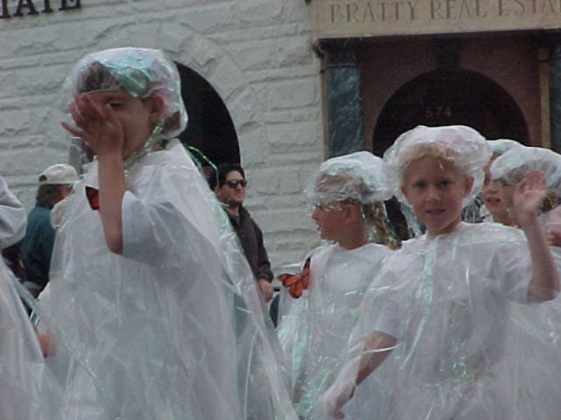 butterflyparade19.jpg