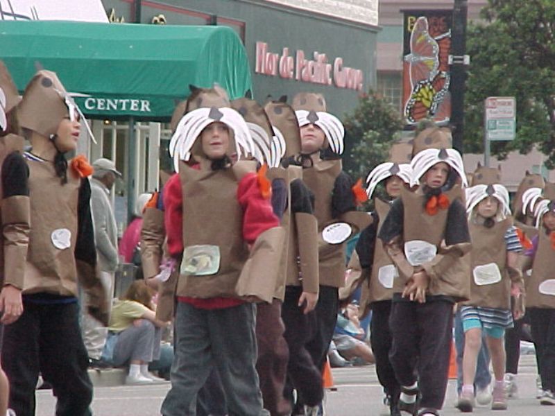 butterflyparade22.jpg