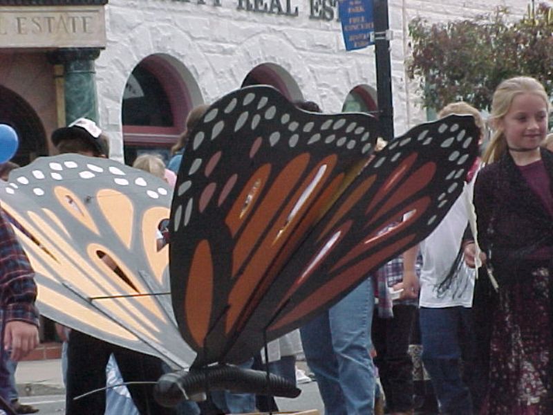 butterflyparade31.jpg
