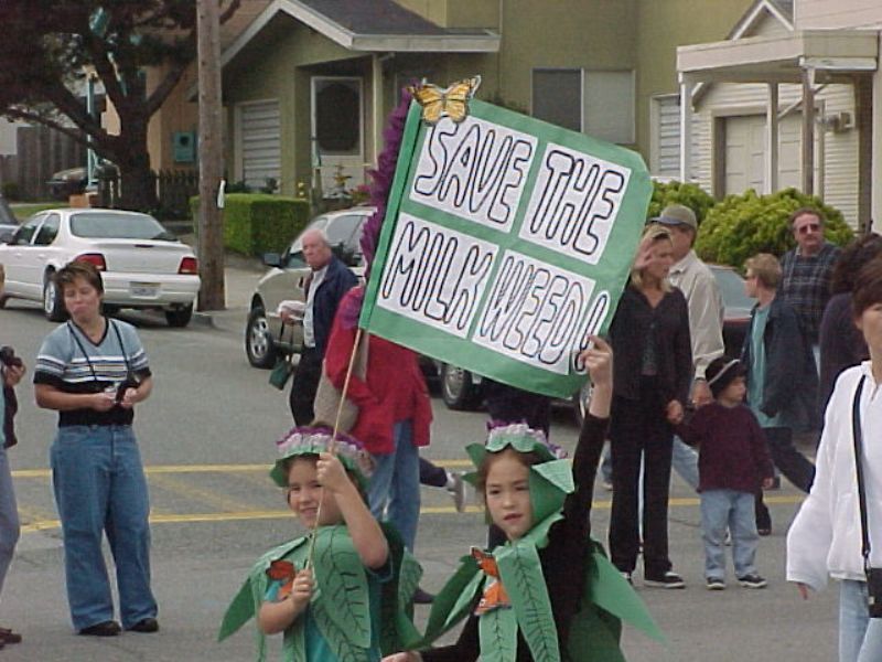 butterflyparade43.jpg