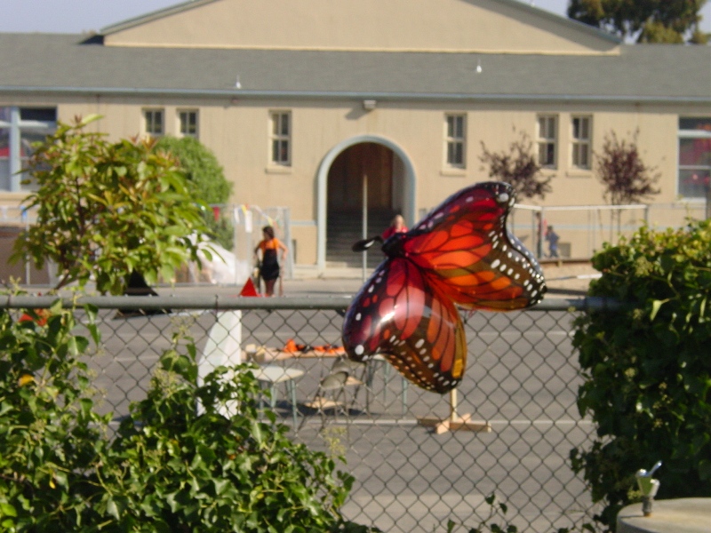 butterflyparade56.jpg