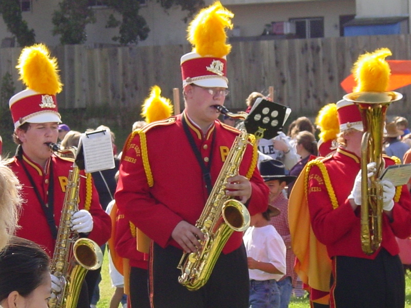 butterflyparade60.jpg
