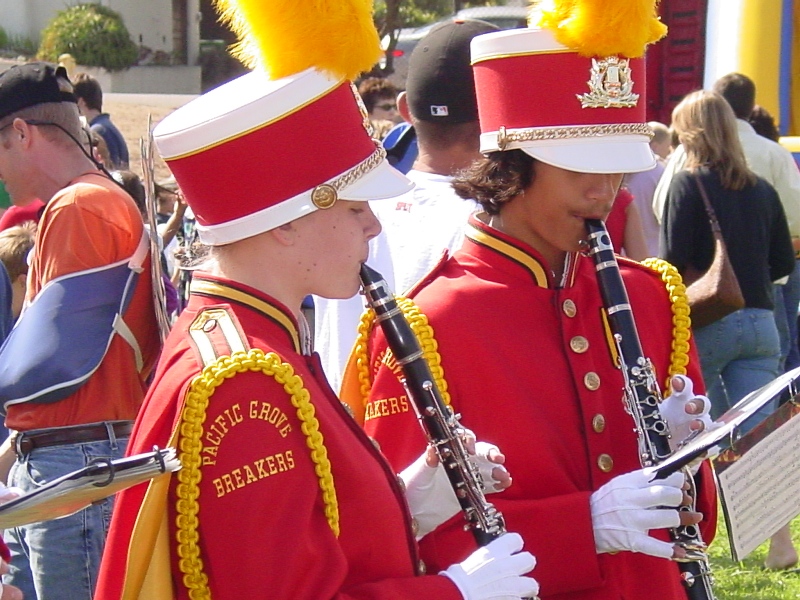 butterflyparade61.jpg