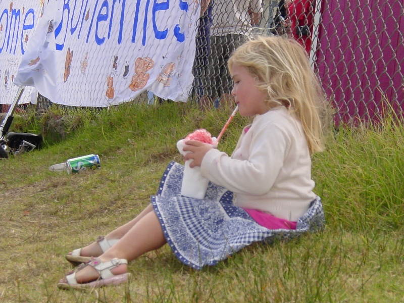 butterflyparade71.jpg