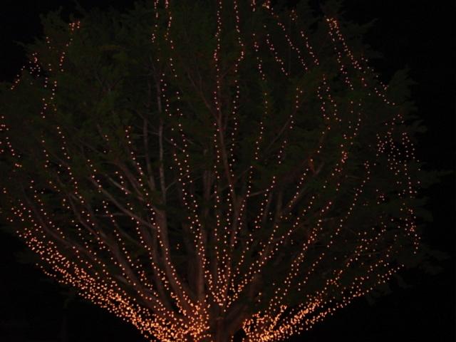 pgparadeoflight007.jpg