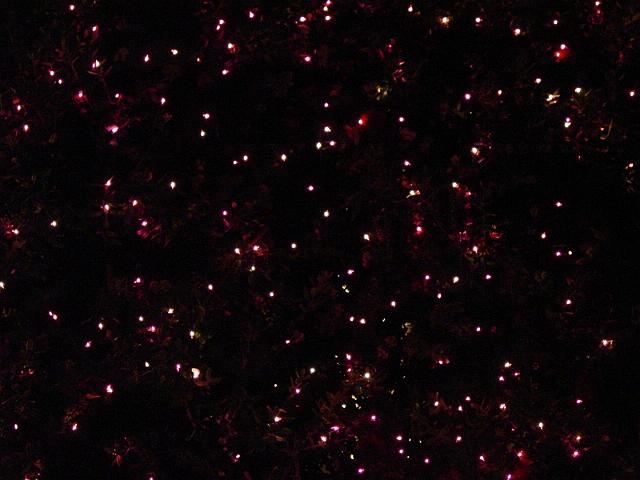 pgparadeoflight008.jpg