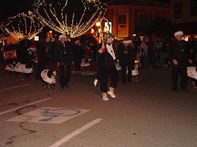 pgparadeoflight025.jpg