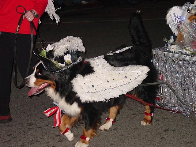 pgparadeoflight084.jpg