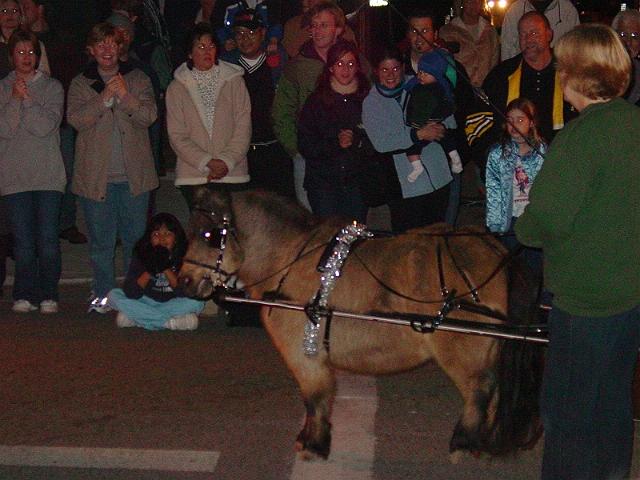 pgparadeoflight115.jpg