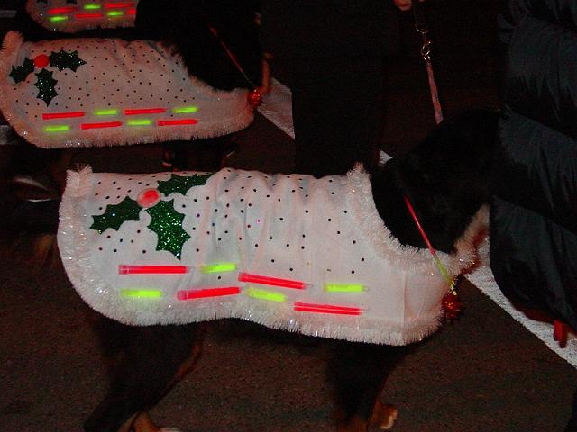 pgparadeoflight161.jpg