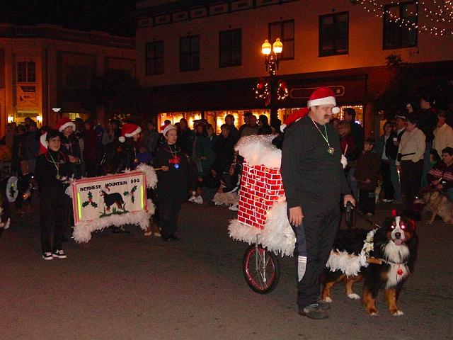 pgparadeoflight162.jpg